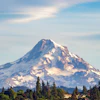 Mount Hood