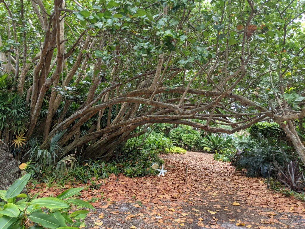 heathcote-botanical-gardens-002