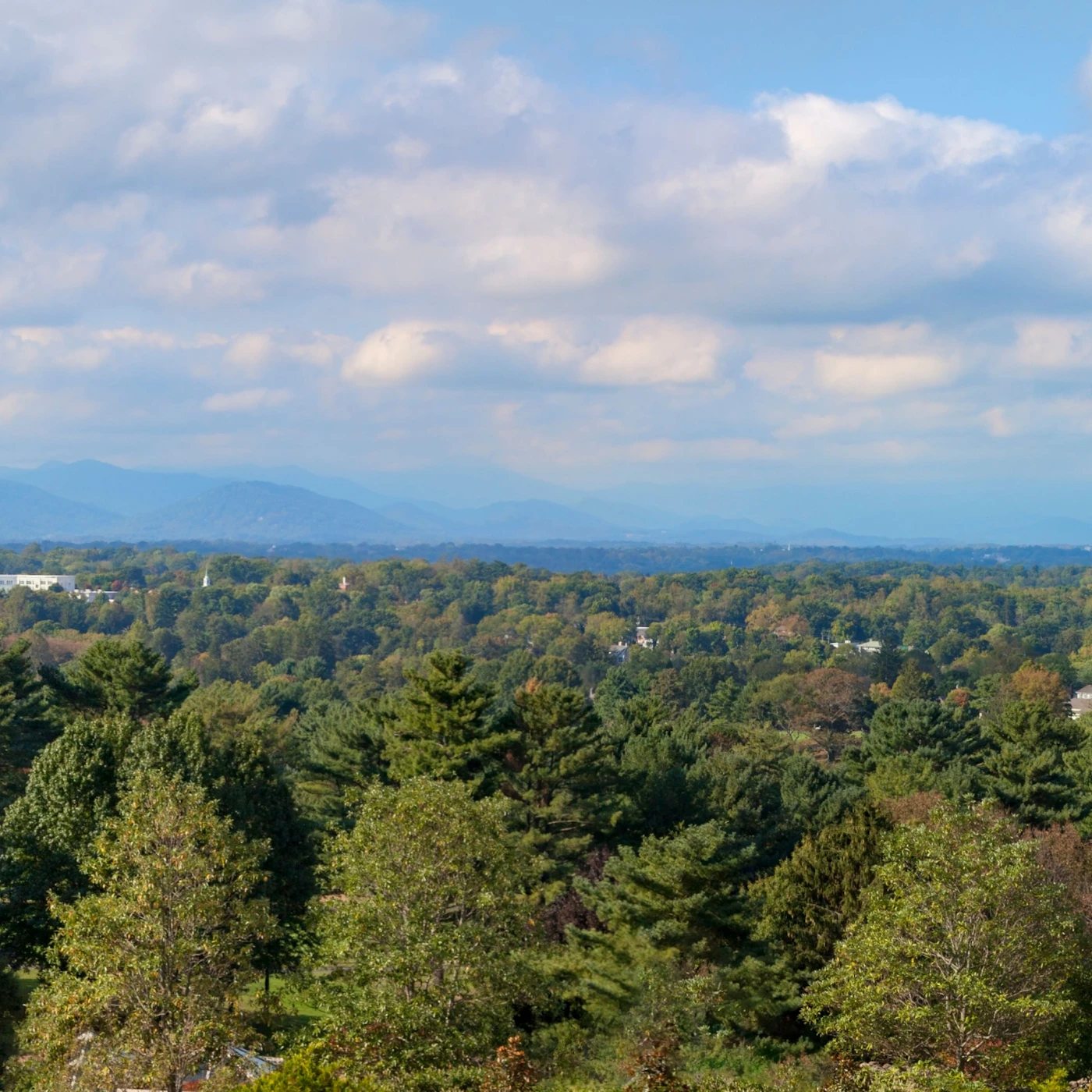 AdobeStock_291720342.jpeg
