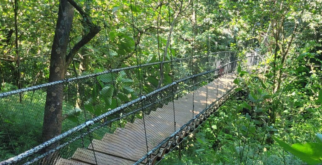 rincon-de-la-vieja-volcano-003