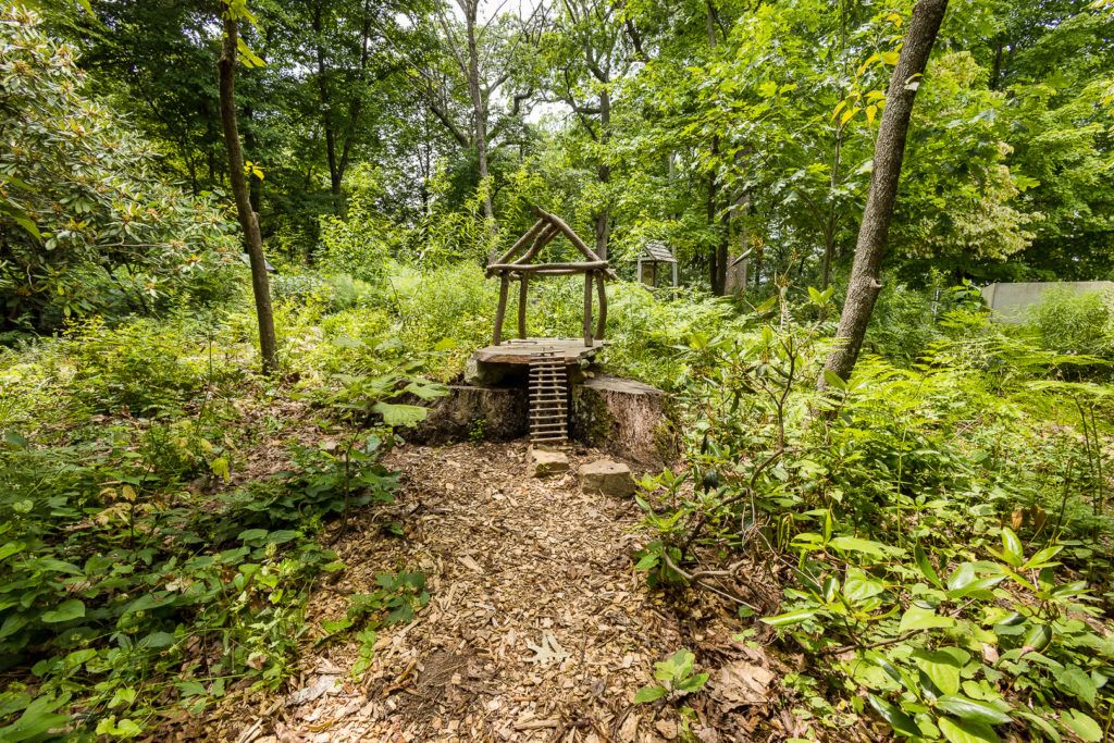 mill-mountain-wildflower-garden-019