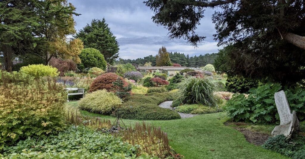 mendocino-coast-botanical-gardens-002