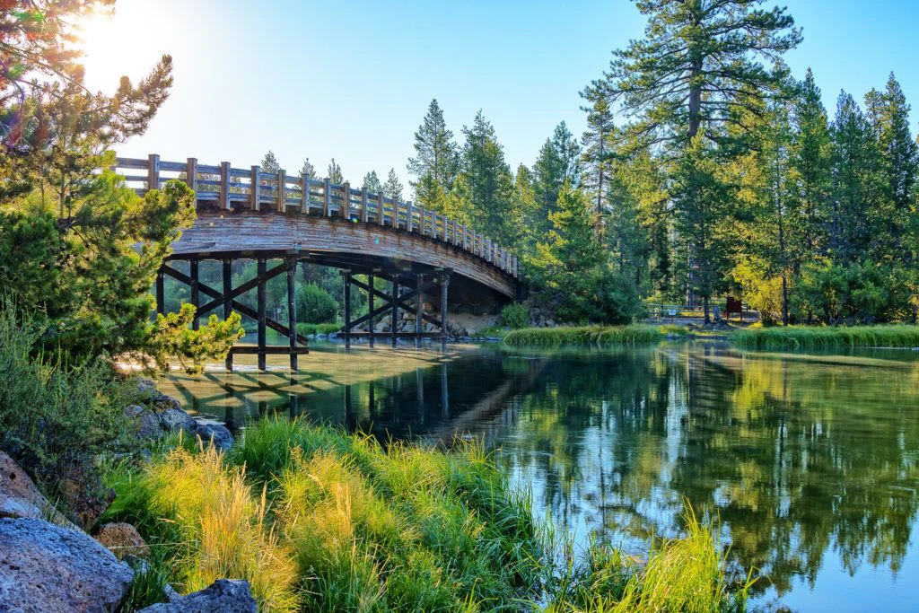 cardinal-landing-bridge-001