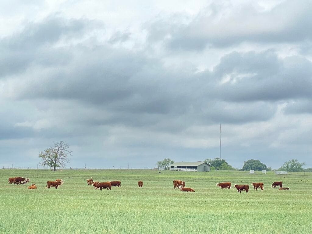 lyndon-b-johnson-national-historical-park-visitor-center-and-park-headquarters-015