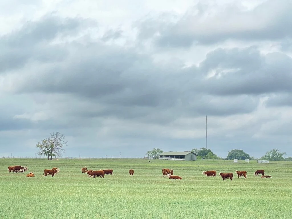 lyndon-b-johnson-national-historical-park-visitor-center-and-park-headquarters-015