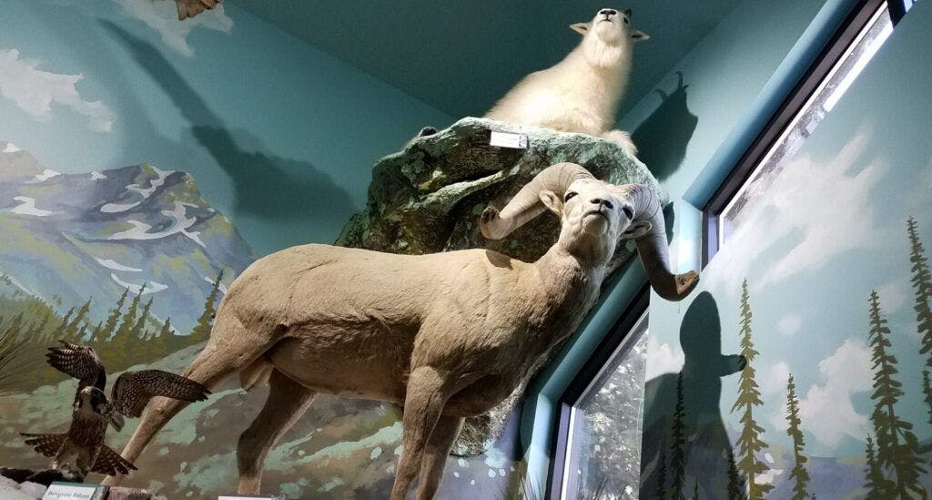 mk-nature-center-idaho-fish-and-game-003