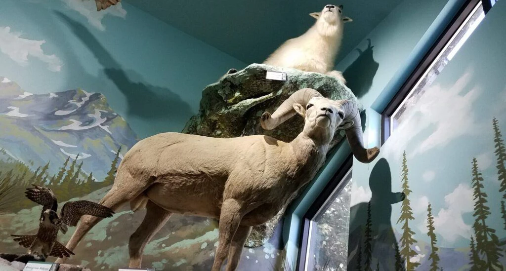 mk-nature-center-idaho-fish-and-game-003