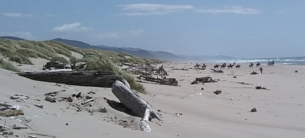 oregon-beach-rides-003