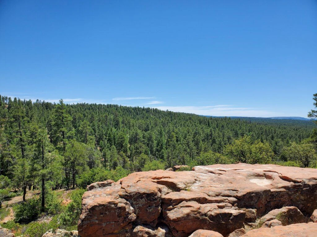mogollon-rim-trail-003