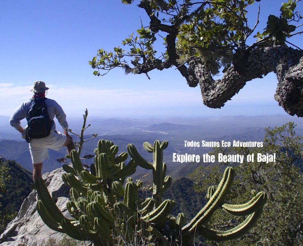 todos-santos-eco-adventures-002