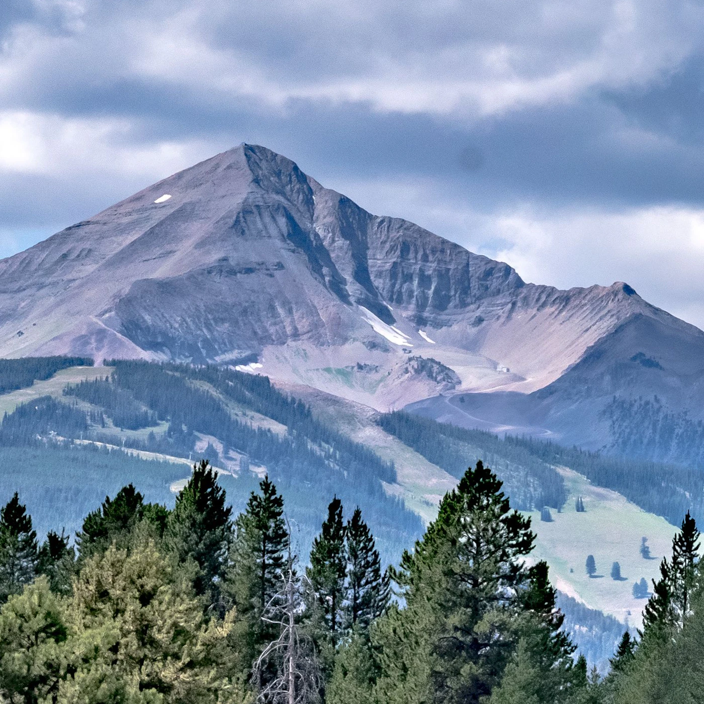 AdobeStock_355855630.jpeg