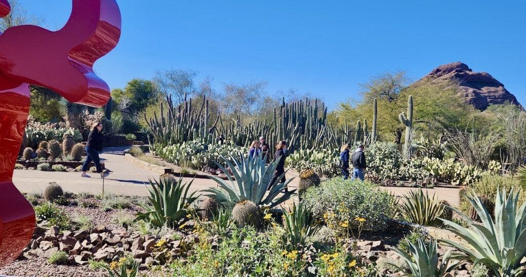 desert-botanical-garden-001