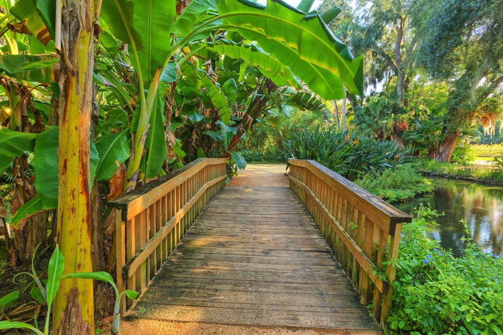 washington-oaks-gardens-state-park-011