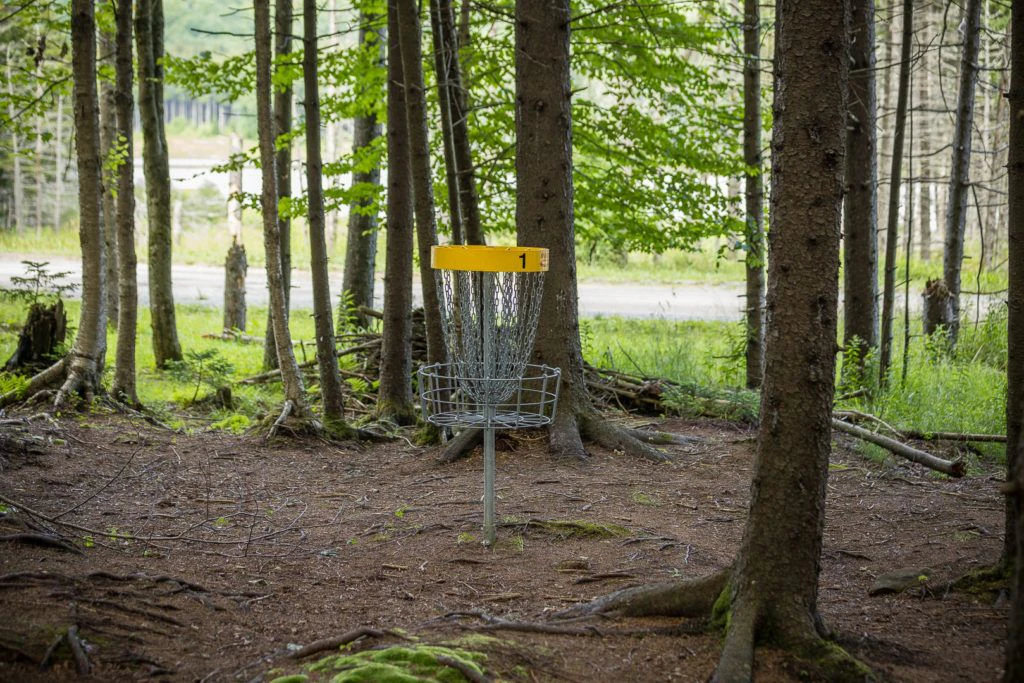 fairy-diddle-disc-golf-011