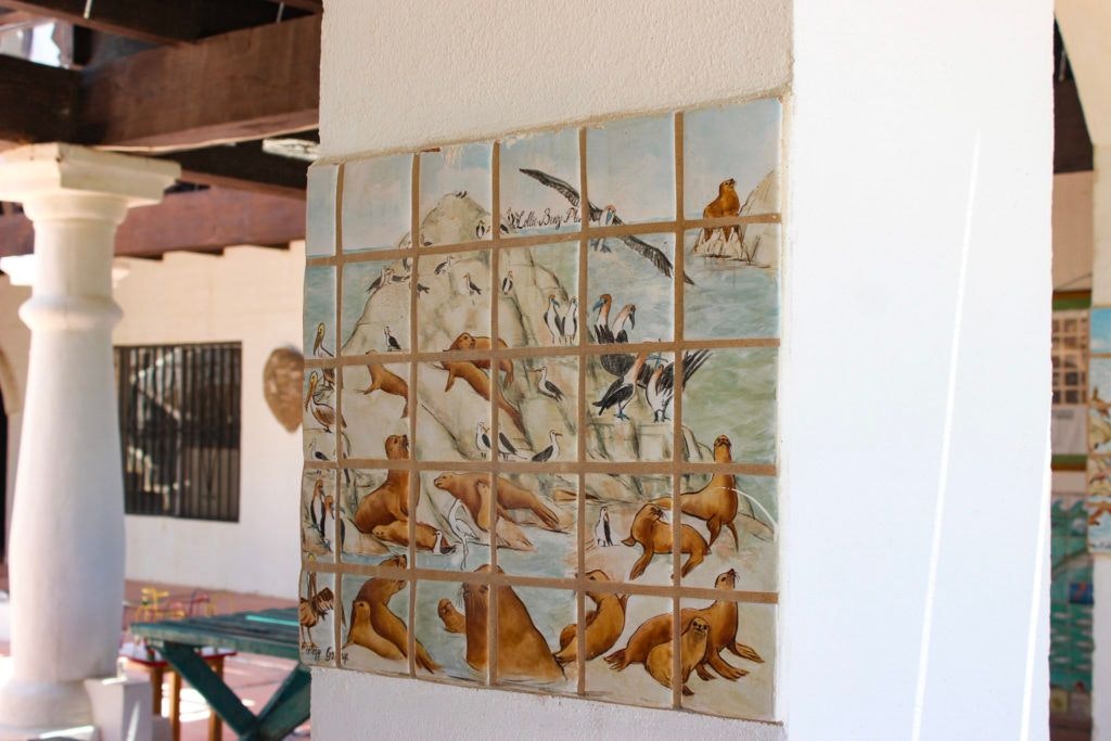 cedo-intercultural-center-for-the-study-of-deserts-and-oceans-013