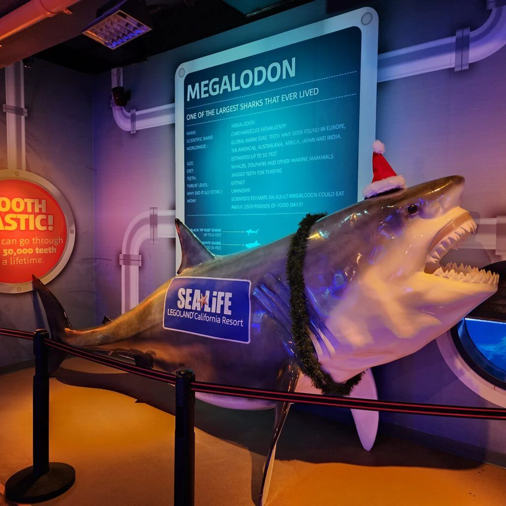 sea-life-aquarium-015