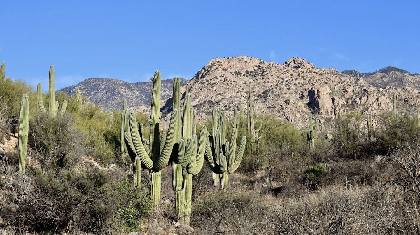 Lakes & Mountains around Tucson
