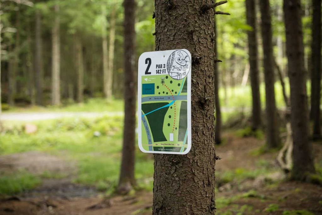 fairy-diddle-disc-golf-012