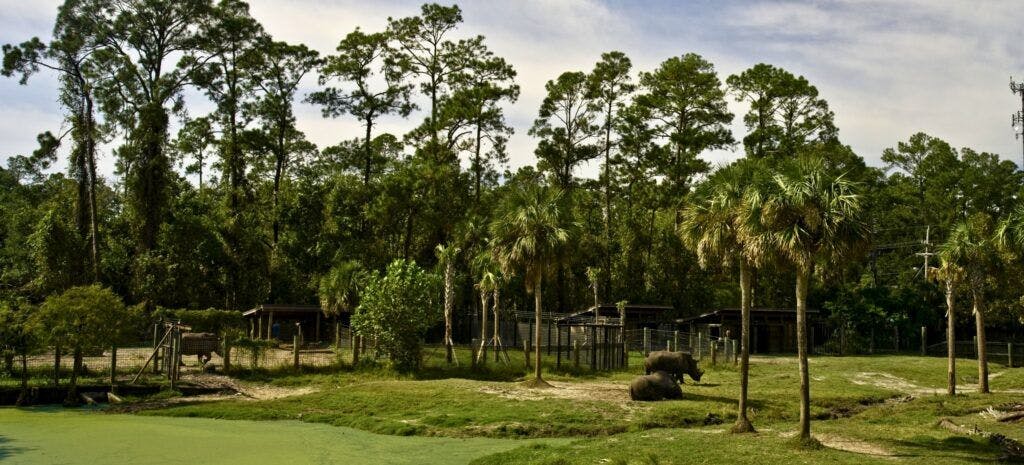 jacksonville-zoo-and-gardens-002