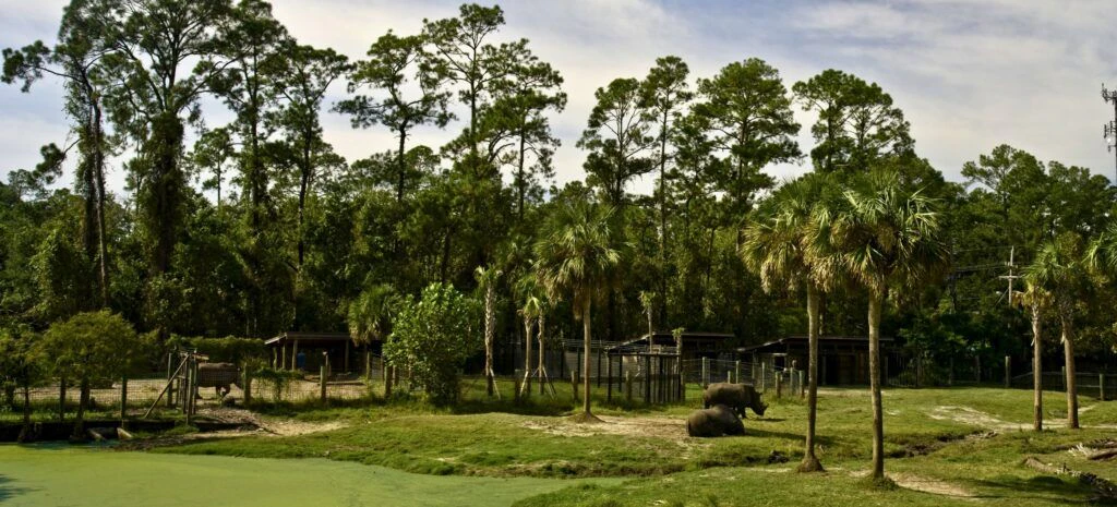 jacksonville-zoo-and-gardens-002