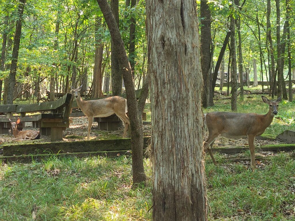 lake-of-the-ozarks-state-park-002