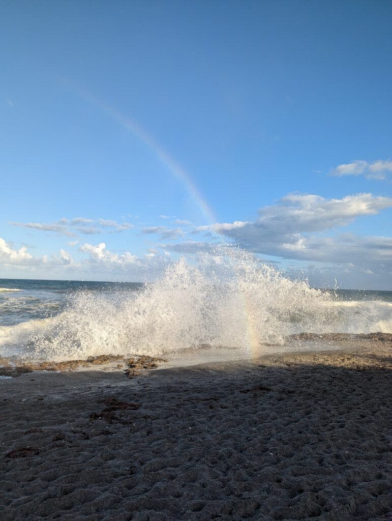the-nature-conservancy-blowing-rocks-preserve-002