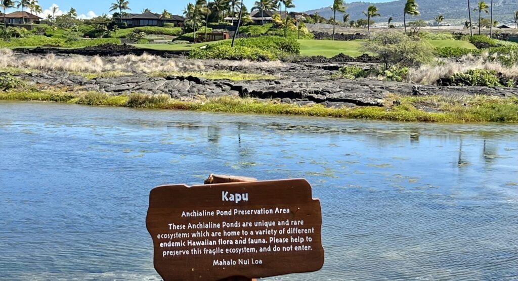 kohanaiki-beach-park-002