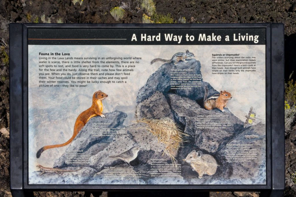 lava-butte-and-lands-visitor-center-030