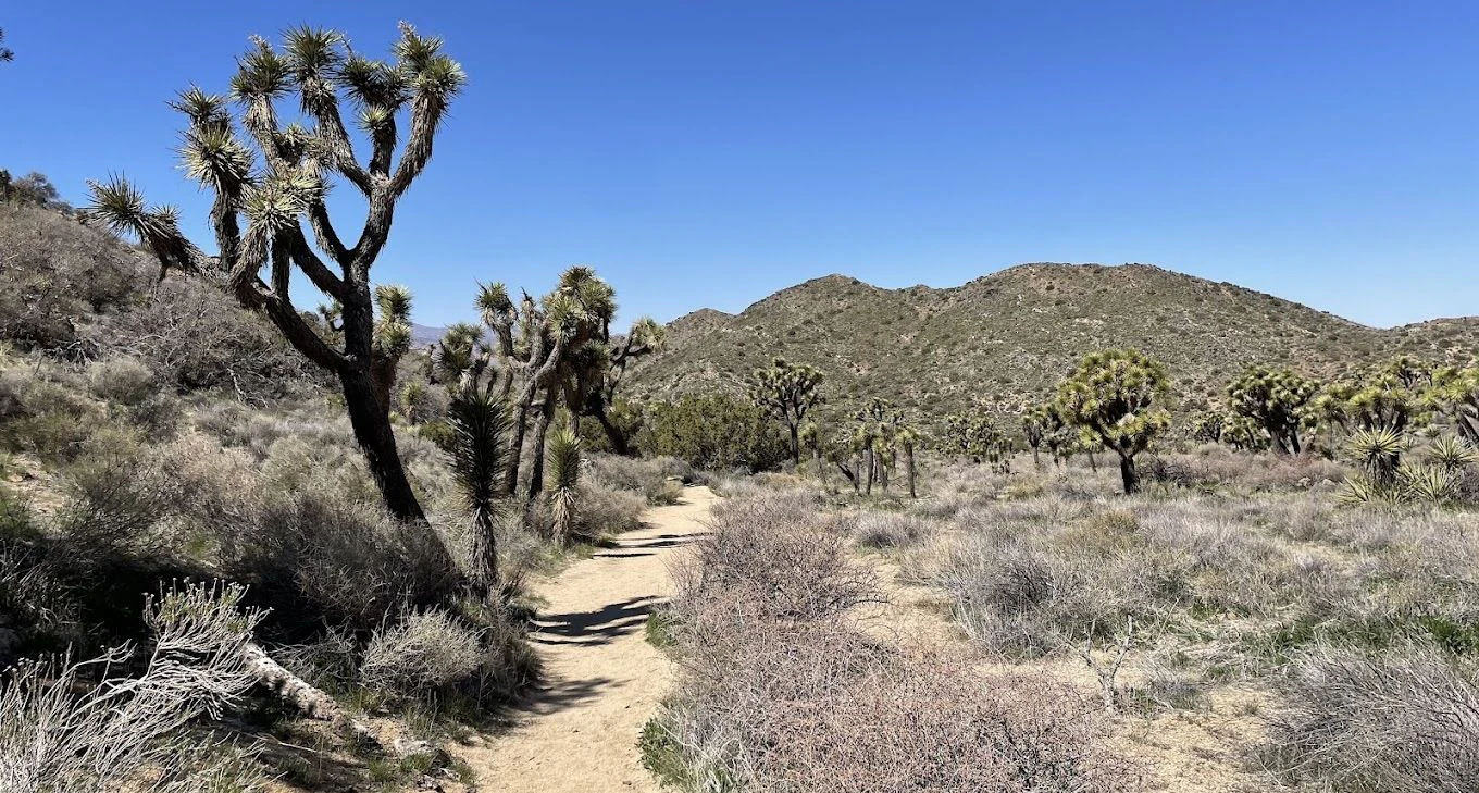 Black Rock Canyon Trailhead 1.jpeg