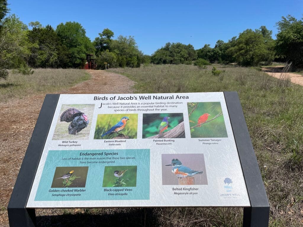 jacobs-well-spring-006