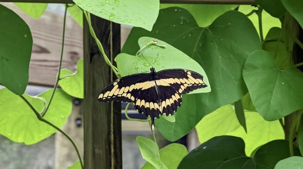 coastal-discovery-museum-002