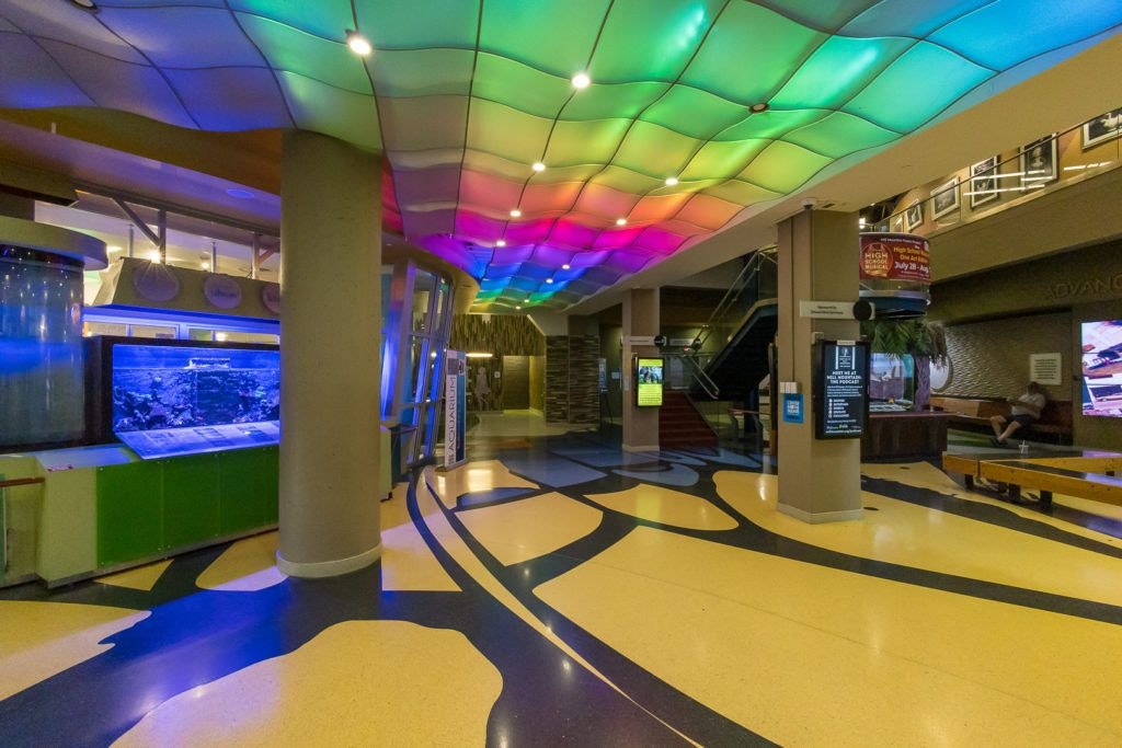 roanoke-pinball-museum-004