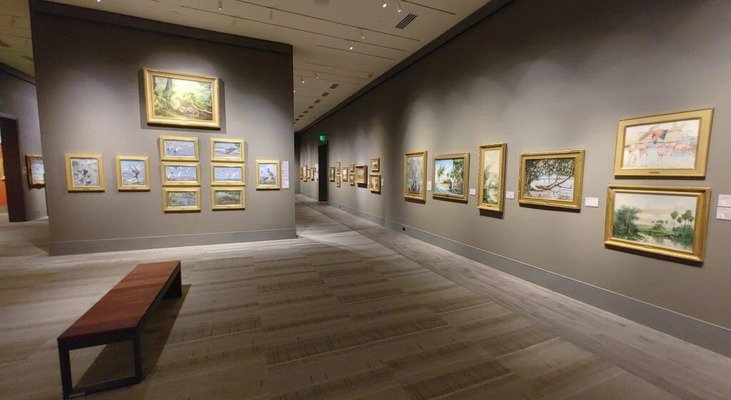 cici-and-hyatt-brown-museum-of-art-003