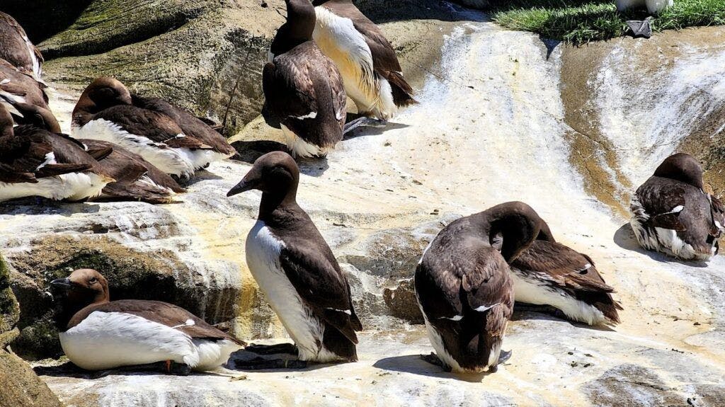 oregon-coast-aquarium-003