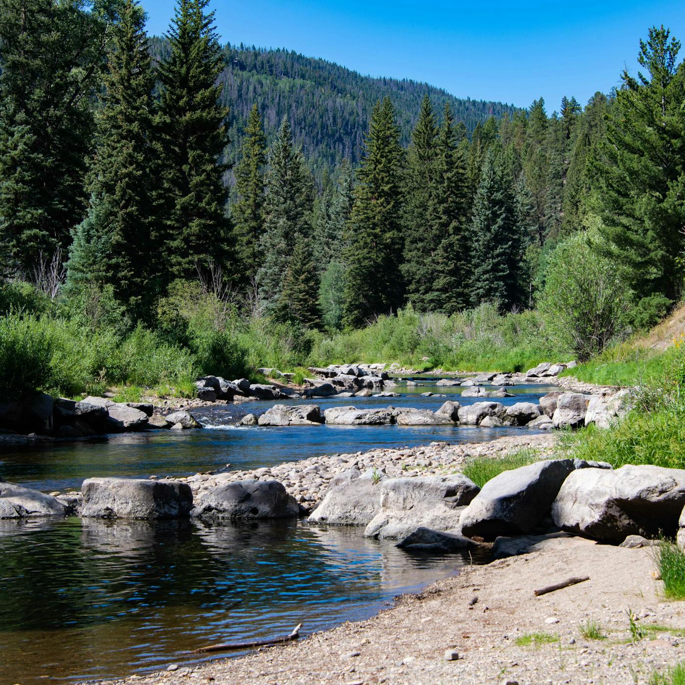 South Fork