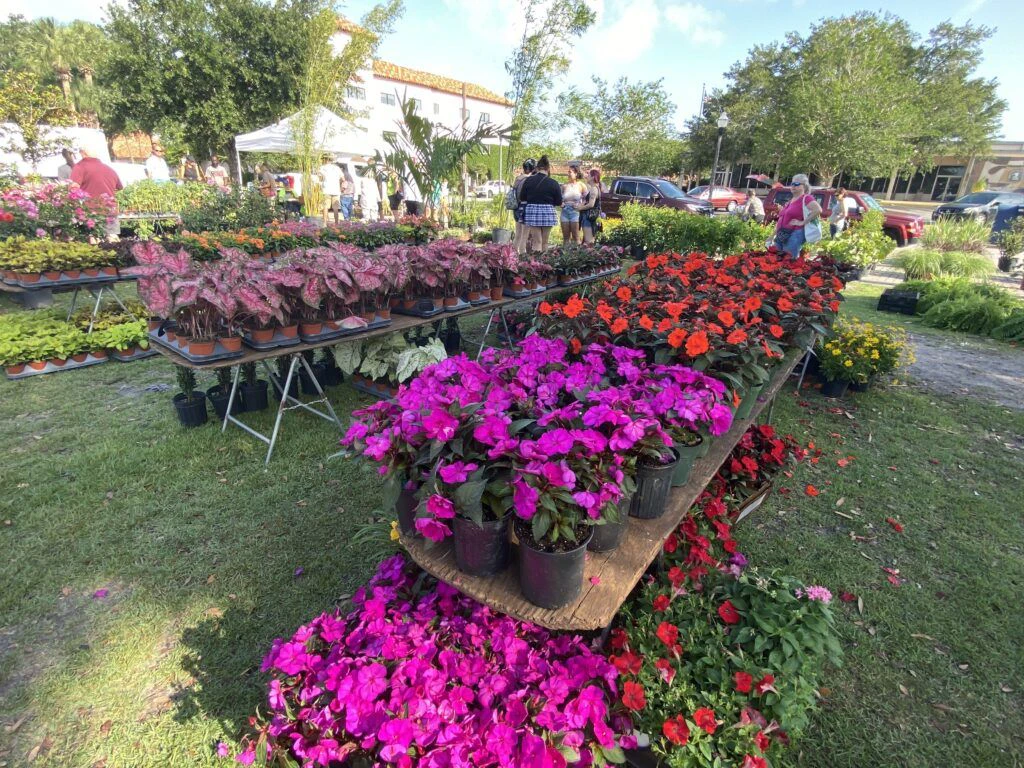 winter-park-farmer-s-market-002