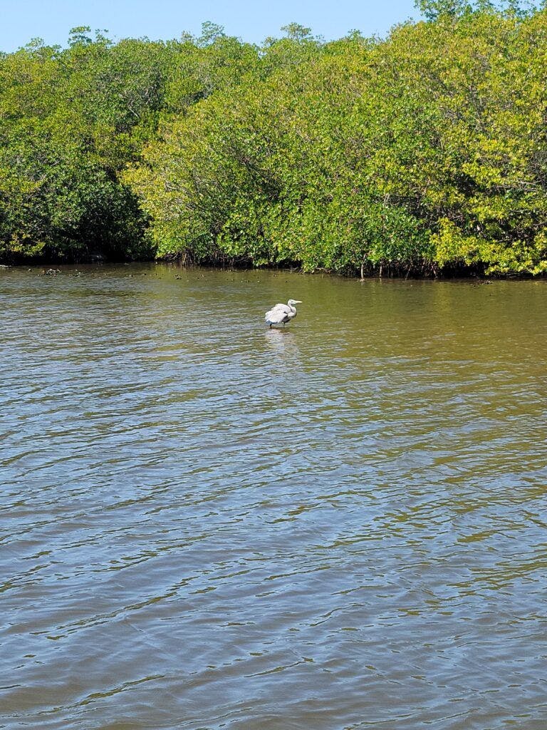 treasure-coast-cruises-004