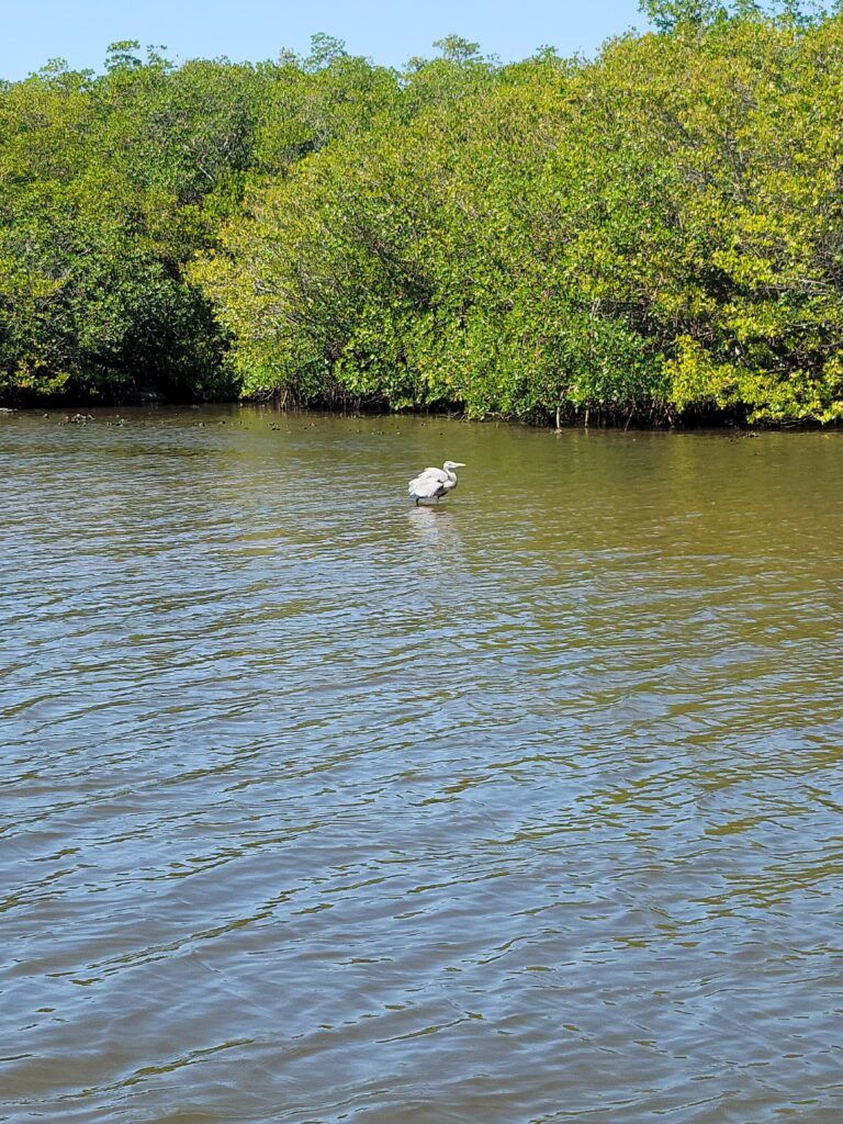 treasure-coast-cruises-004