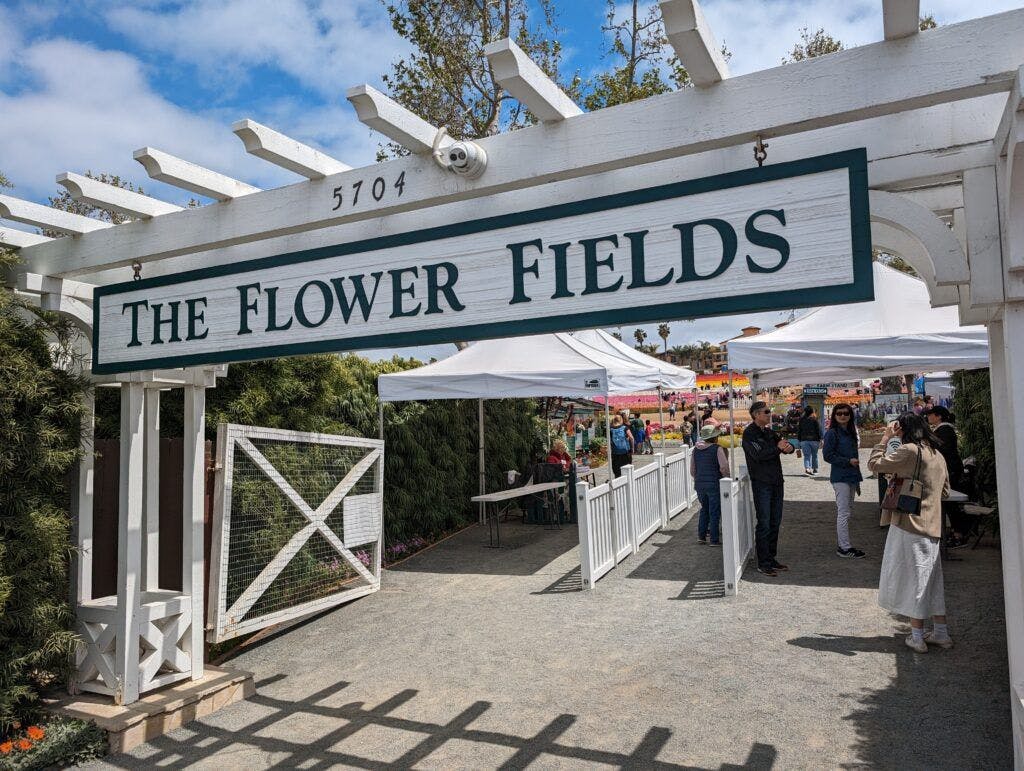 the-flower-fields-002