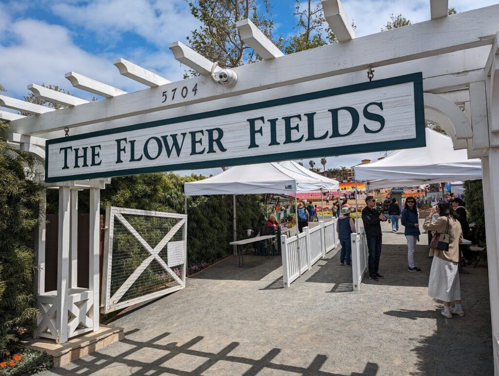 the-flower-fields-002