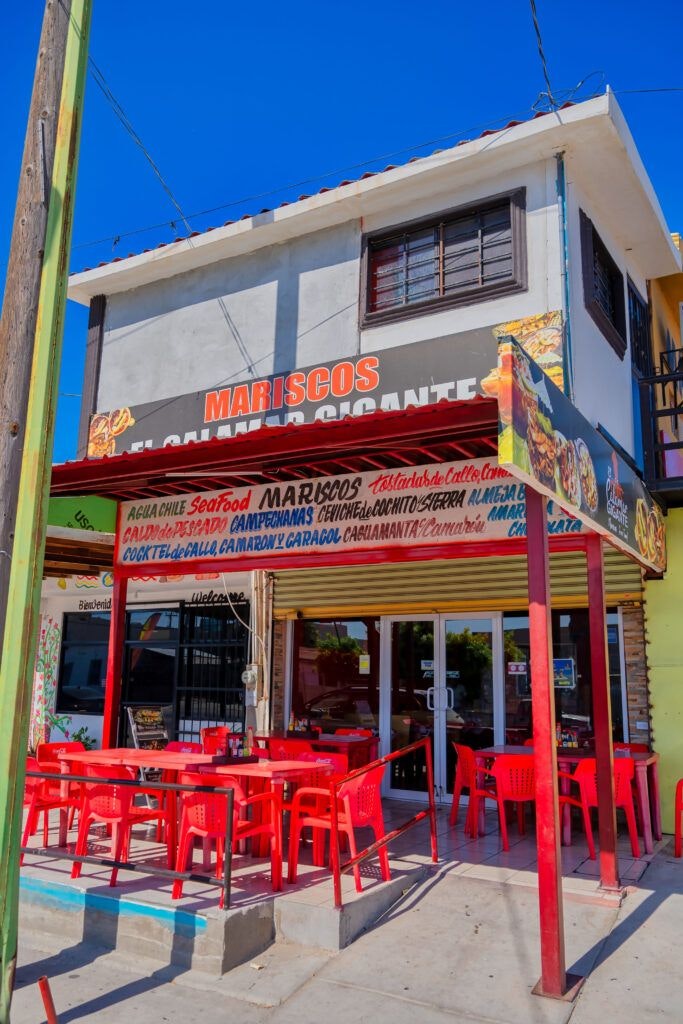 el-calamar-gigante-014