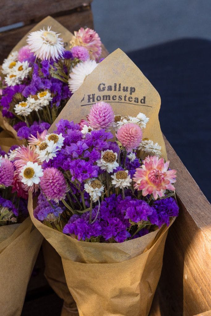 arcata-plaza-farmer-s-market-027