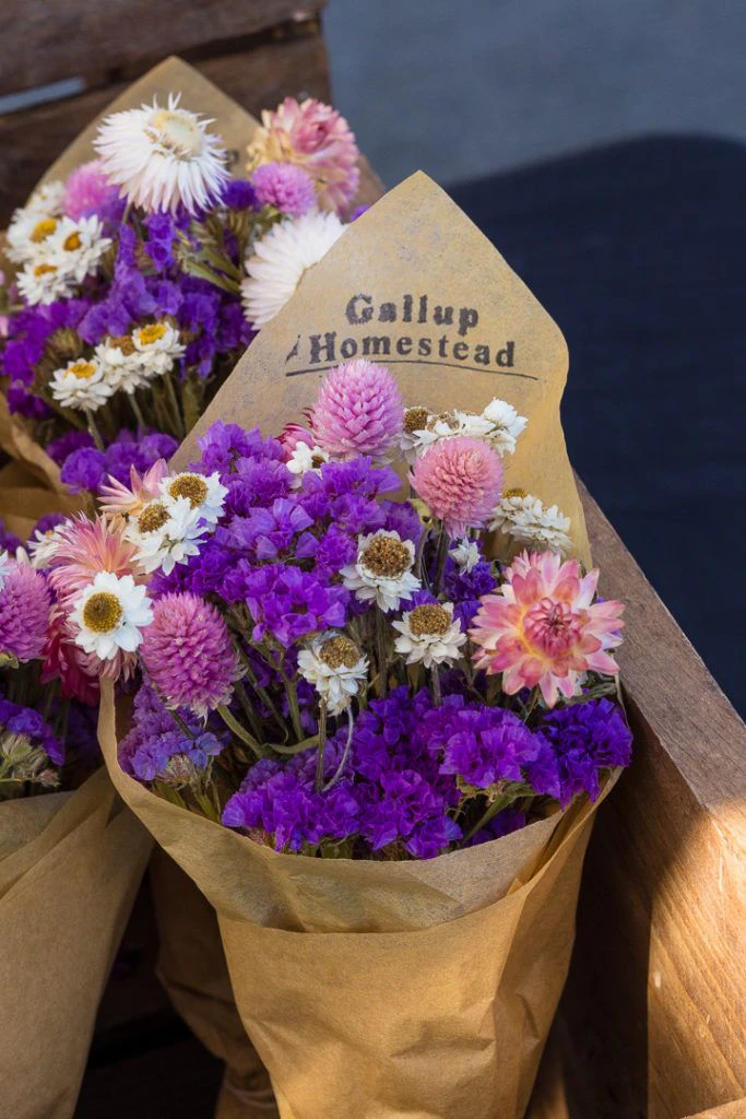 arcata-plaza-farmer-s-market-027