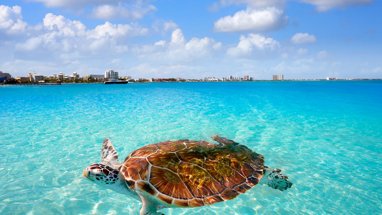 top-7-reasons-you-should-buy-a-rental-property-in-mexico-hero