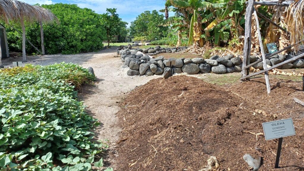 kaloko-honok-hau-national-historical-park-004