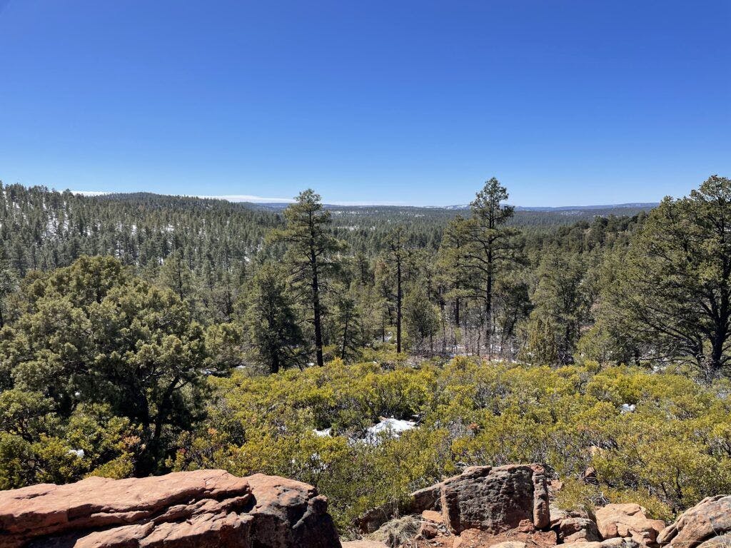 Mogollon Rim Trail 