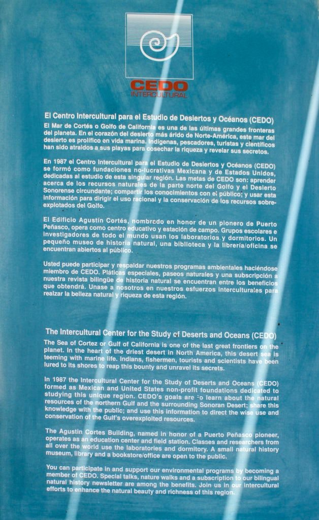 cedo-intercultural-center-for-the-study-of-deserts-and-oceans-014