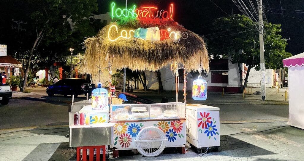 parque-de-las-palapas-004