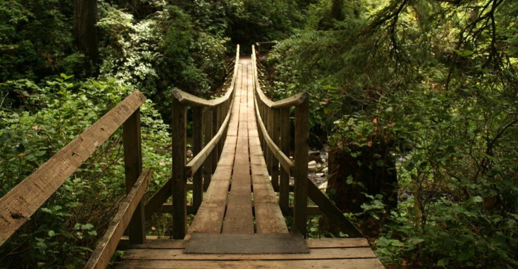 oswald-west-state-park-004