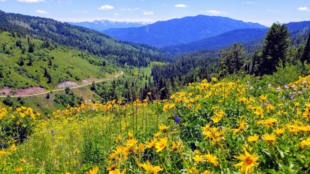 caribou-targhee-national-forest-002